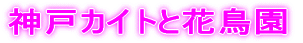 _˃JCgƉԒ