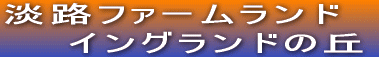 WHt@[h @@COh̋u
