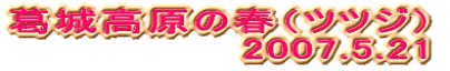 鍂̏ticcWj @@@@@2007.5.21 