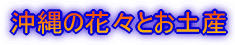 ̉ԁXƂyY