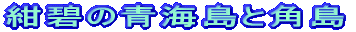 ɂ̐CƊp
