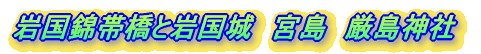 ёыƋ{@_