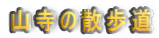 R̎U