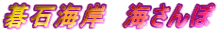 ΊC݁@C