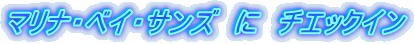 }iExCETY@Ɂ@`GbNC