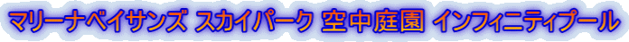 }[ixCTY XJCp[N 󒆒뉀 CtBjeBv[
