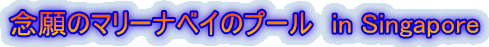 Õ}[ixC̃v[@in Singapore