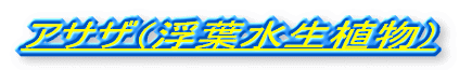 ATUitAj 