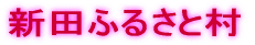 Vcӂ邳Ƒ