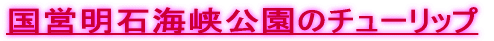 cΊC̃`[bv
