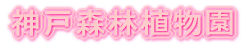 _ːXѐA