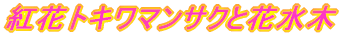 gԃgL}TNƉԐ