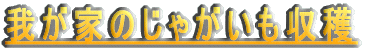 Ⴊ̎n